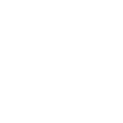 LTS Cargo